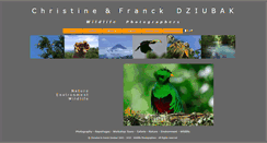 Desktop Screenshot of animode.net